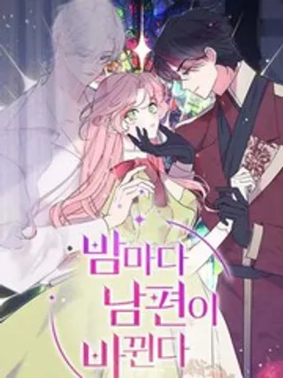 我的夫君每晚都不同海报